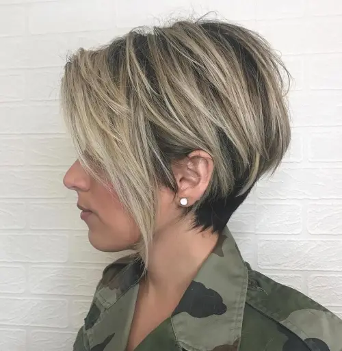 #17: Schwarzer und aschblonder Pixie Bob